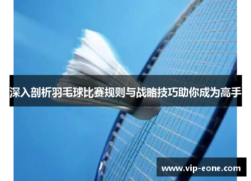深入剖析羽毛球比赛规则与战略技巧助你成为高手