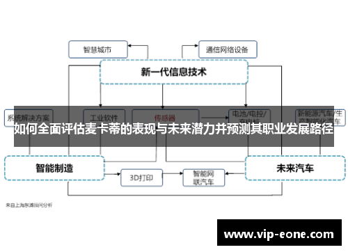 如何全面评估麦卡蒂的表现与未来潜力并预测其职业发展路径