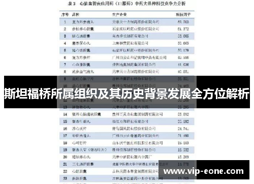 斯坦福桥所属组织及其历史背景发展全方位解析