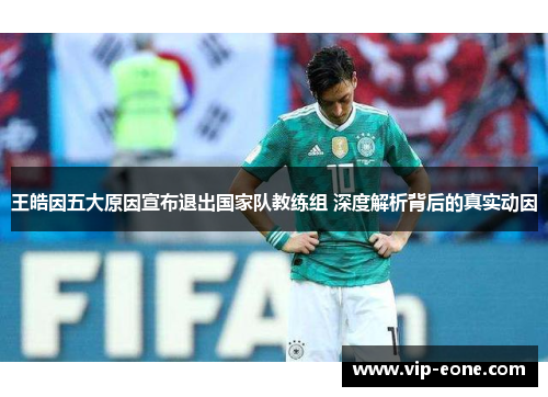 王皓因五大原因宣布退出国家队教练组 深度解析背后的真实动因