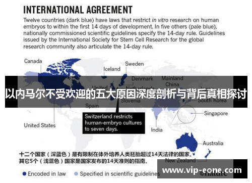 以内马尔不受欢迎的五大原因深度剖析与背后真相探讨