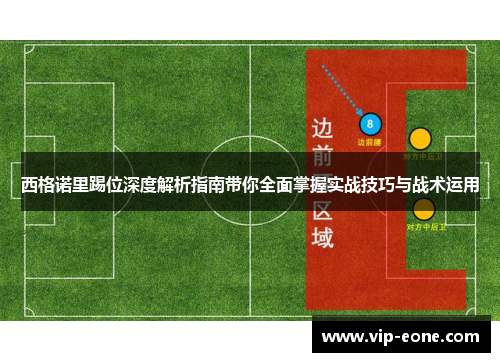 西格诺里踢位深度解析指南带你全面掌握实战技巧与战术运用